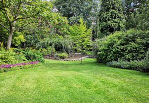 Optimiser l'expérience du jardin à Houplines