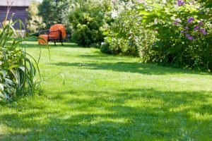 travaux jardin et paysage Houplines